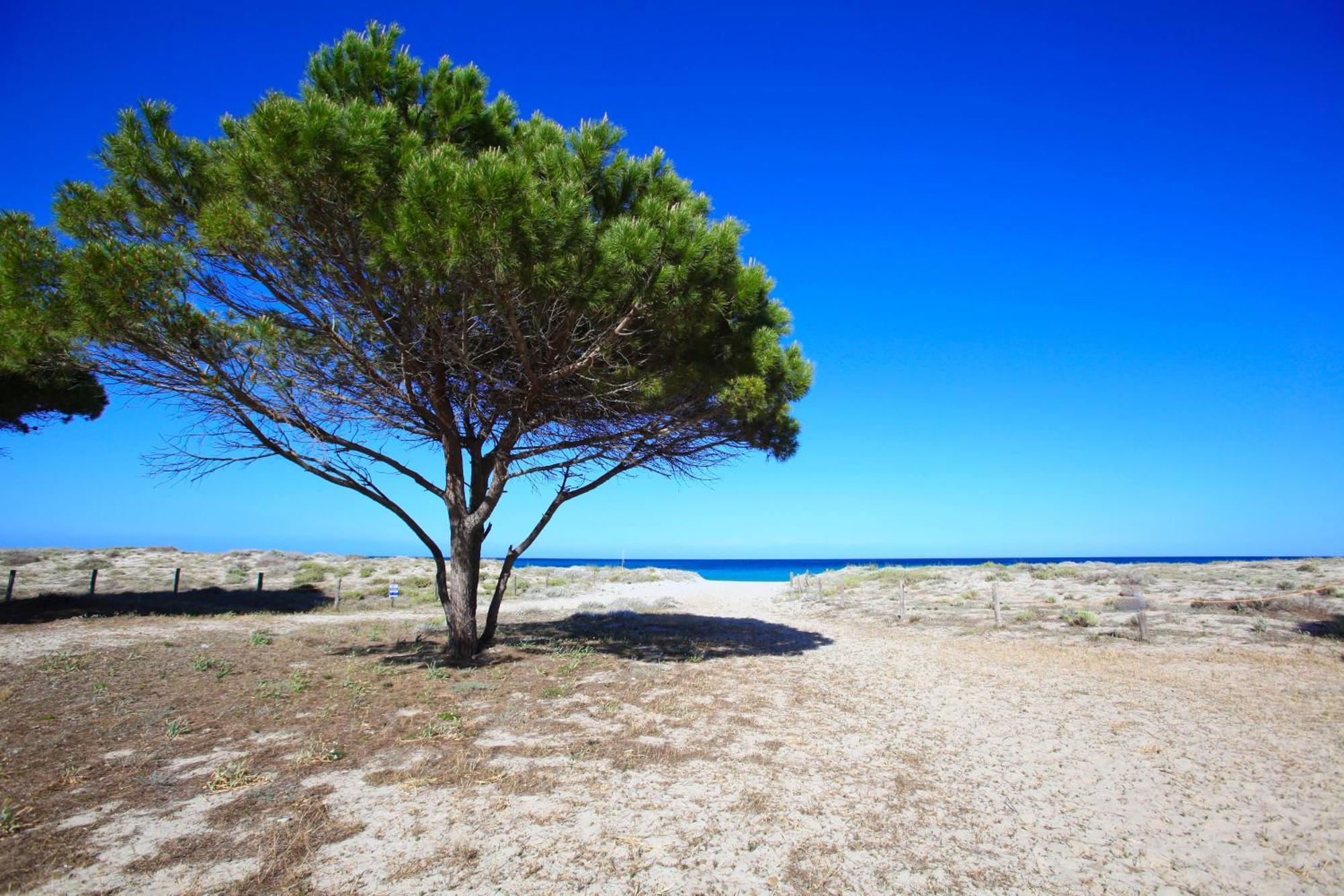 Resort Abbaia Ba 부도니 외부 사진