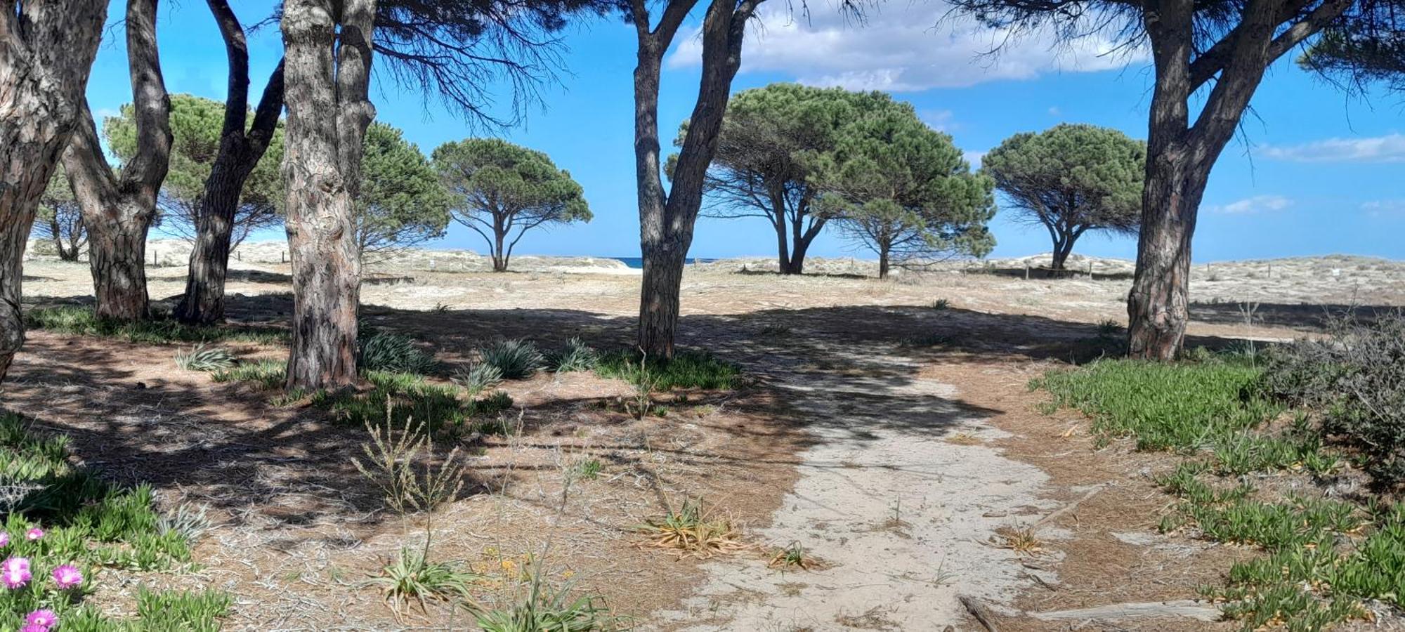 Resort Abbaia Ba 부도니 외부 사진