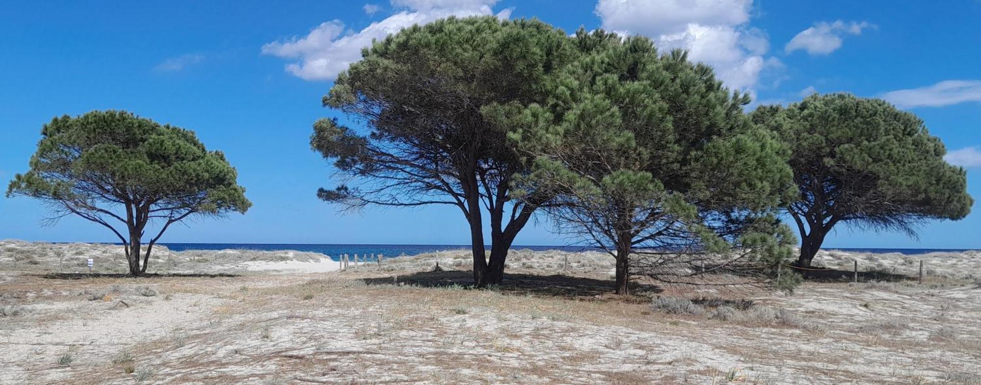 Resort Abbaia Ba 부도니 외부 사진