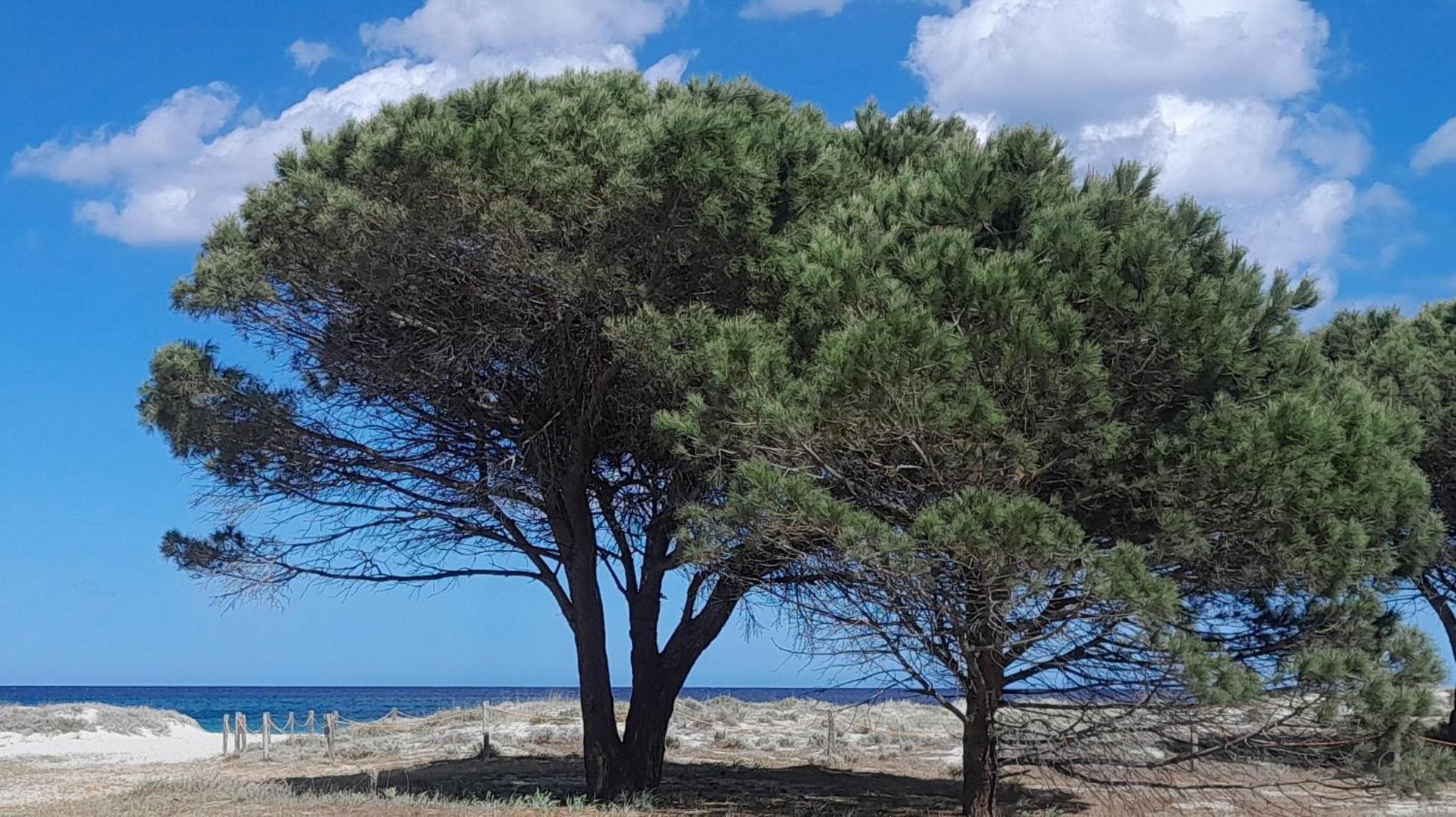 Resort Abbaia Ba 부도니 외부 사진