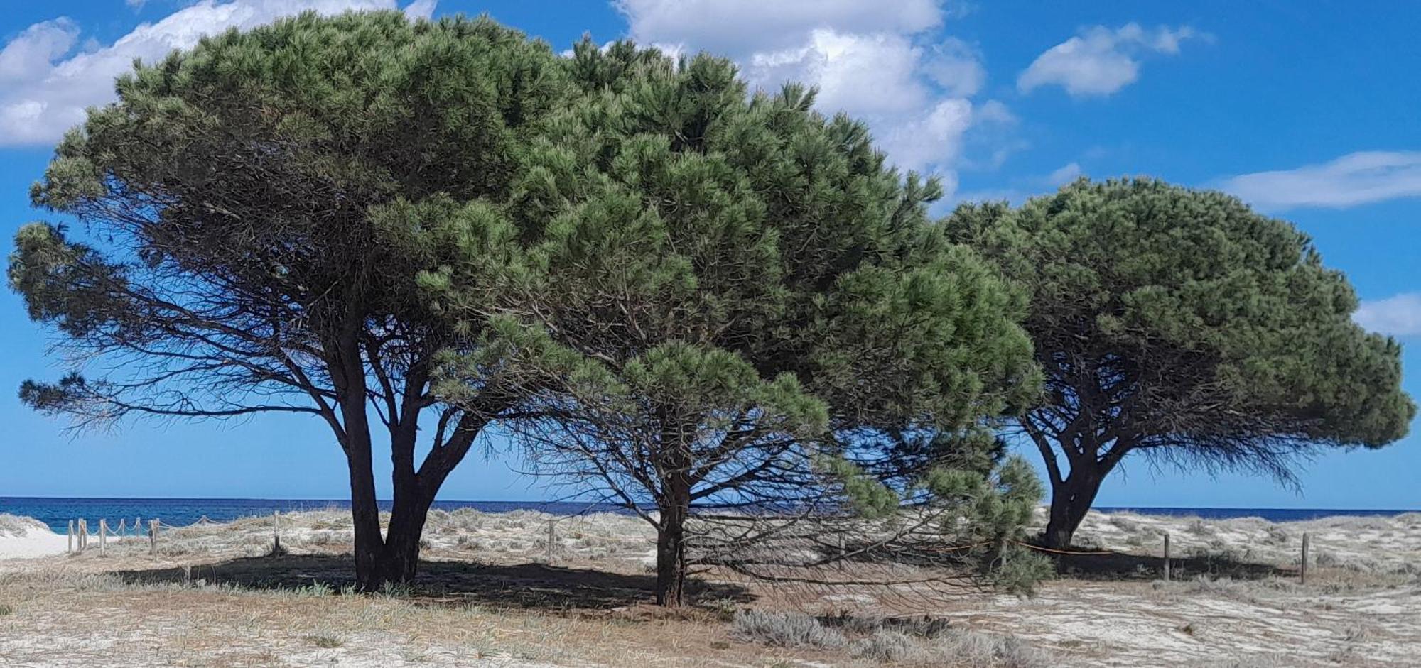 Resort Abbaia Ba 부도니 외부 사진