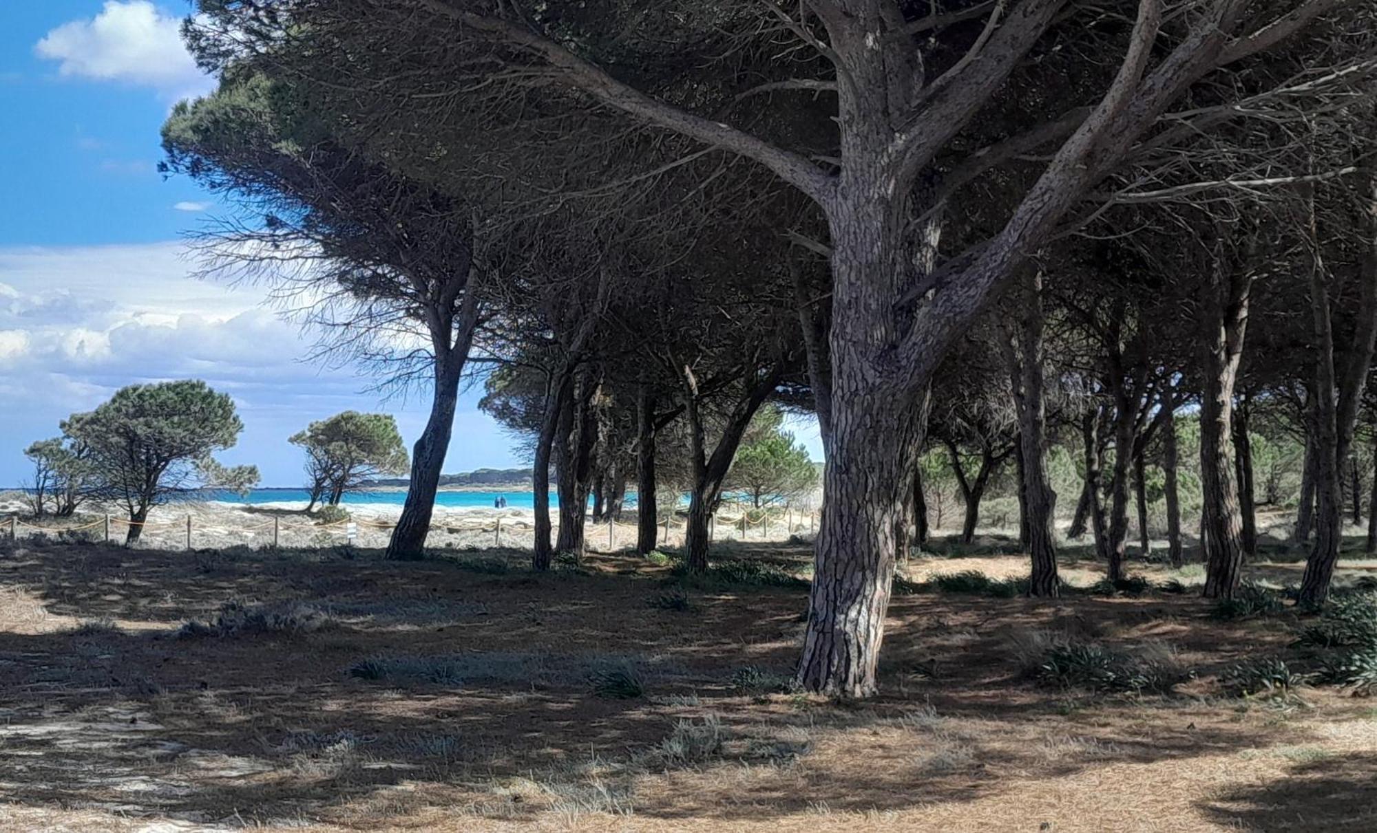 Resort Abbaia Ba 부도니 외부 사진